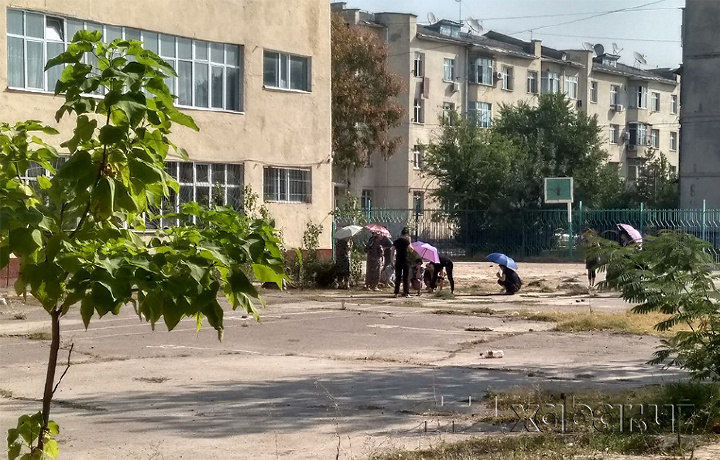 Vazirlik o‘qituvchilarga o‘t yuldirganlarni tekshirmoqda