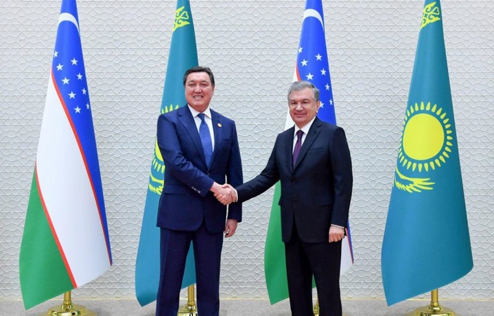 Шавкат Мирзиёев принял Аскара Мамина