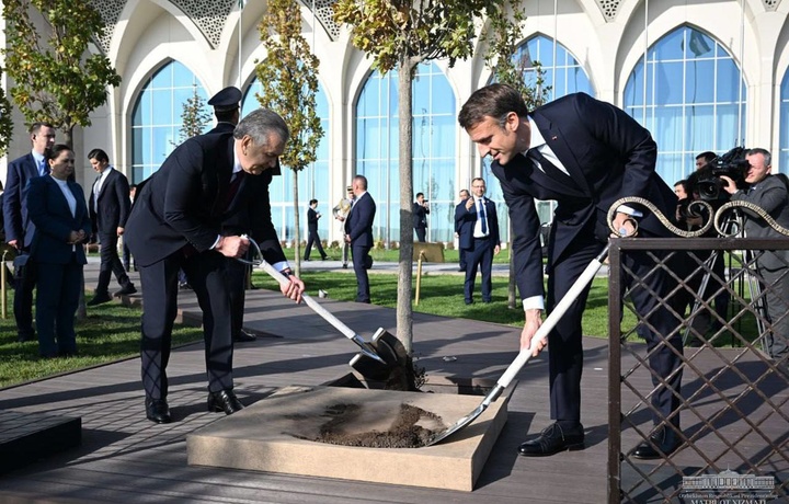 Mirziyoyev va Makron Samarqandda daraxt ekishdi (foto)