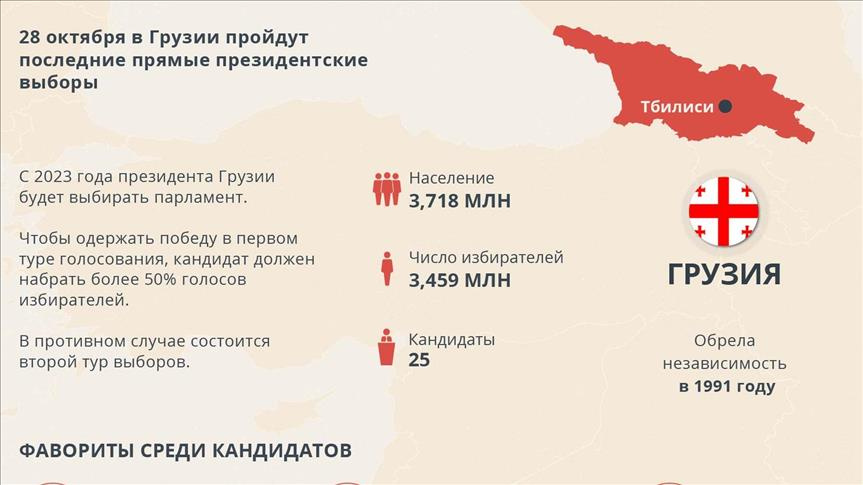 В Грузии на пост президента претендуют 25 кандидатов (инфографика)