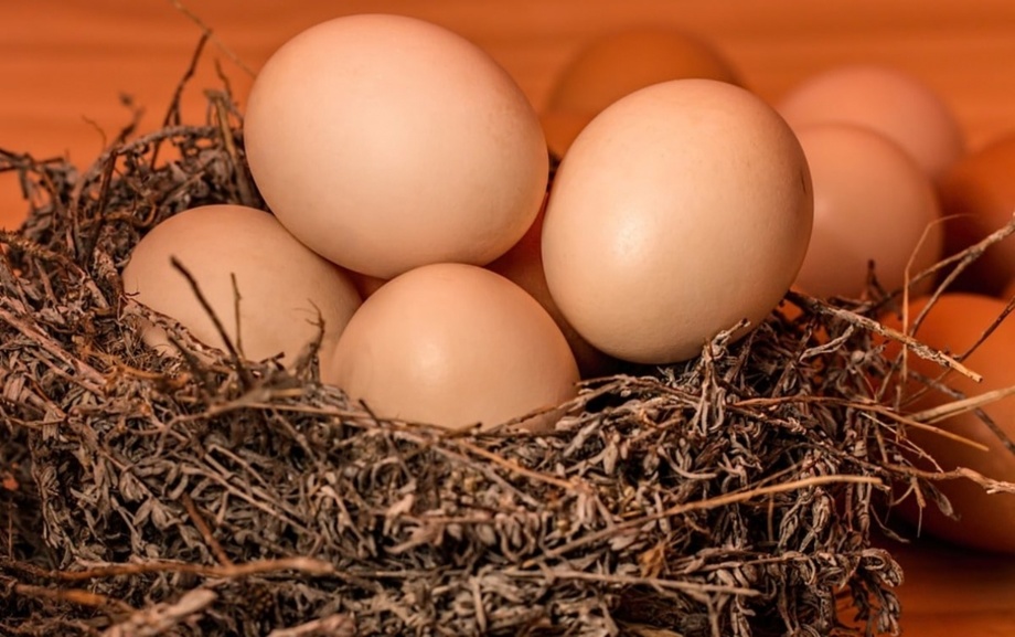 Сколько яиц в день можно съесть без вреда для здоровья, рассказали диетологи