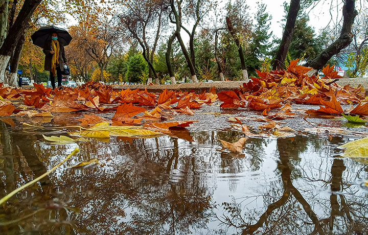 Dam olish kunlari yurtimizga Uraldan sovuq havo kirib kelishi kutilyapti