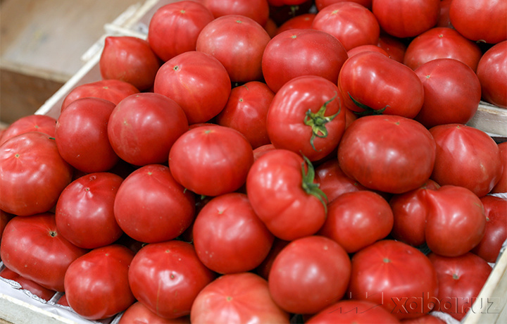 Pomidor narxi keskin arzonladi
