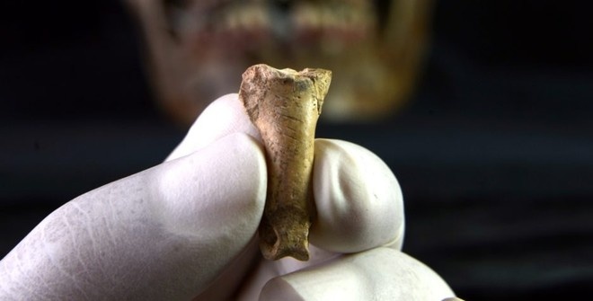 В Испании нашли ожерелье времён неандертальцев