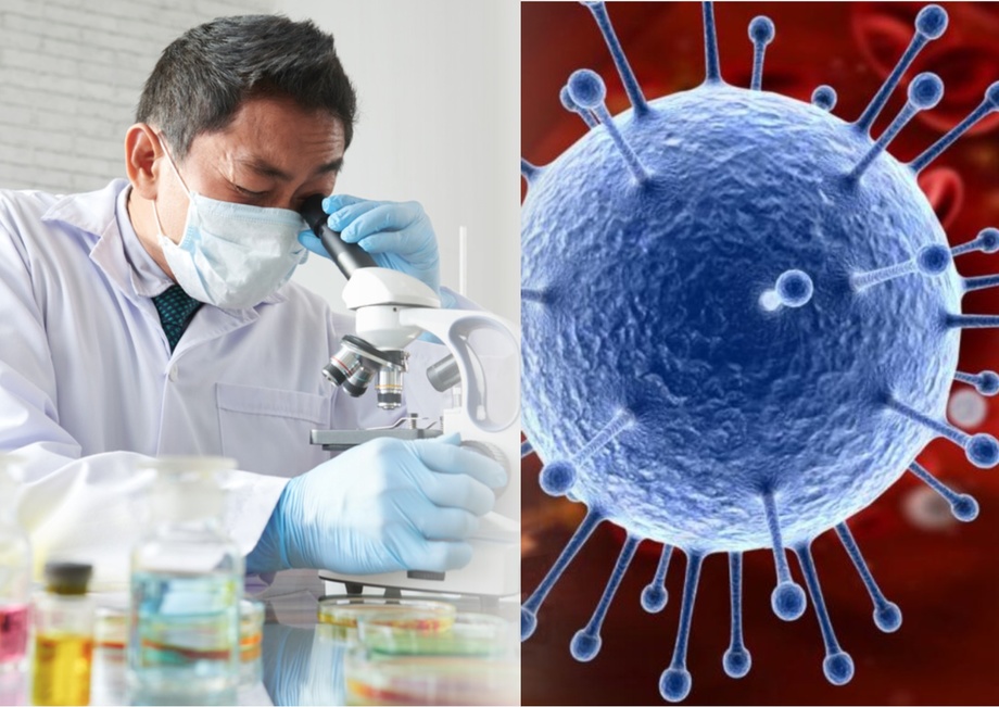Britaniyada koronavirusning yana bir yangi turi topildi