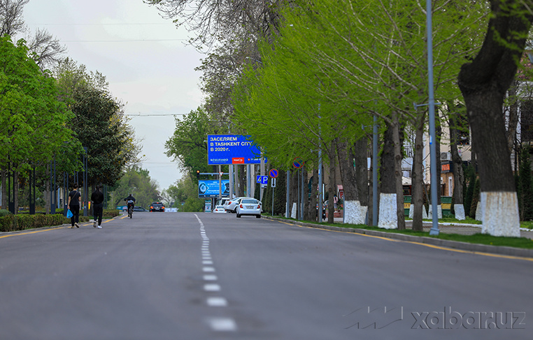 С 6 апреля в Узбекистане вводят режим обязательной самоизоляции