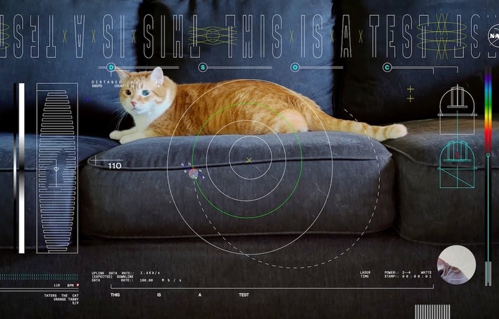 NASA показало видео с котом: почему это историческое событие?