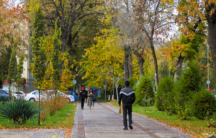 Yakshanba kuni kunduzi kutilayotgan ob-havo ma’lumoti