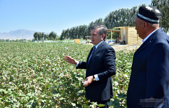 Shavkat Mirziyoyev: «Dehqon dalaga kirdimi, daromad topishi zarur»