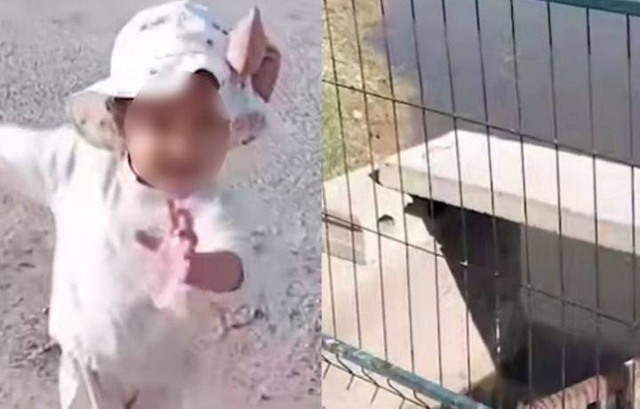 В Кашкадарье двухлетняя воспитанница детсада, оставленная без присмотра, утонула в арыке