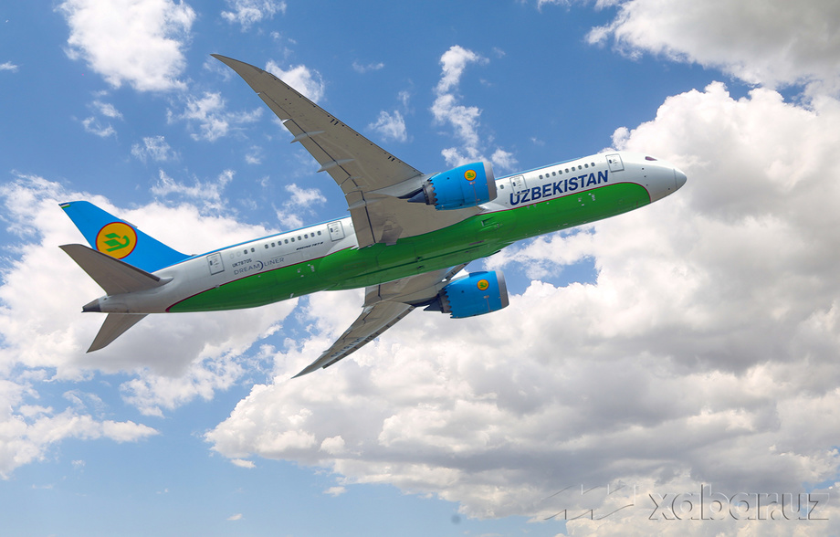 Uzbekistan Airways авиакомпанияси самолётида ўғрилар ушланди