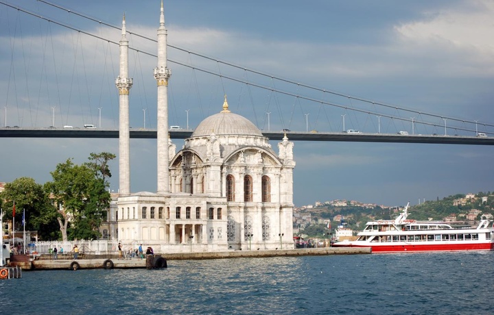 Istanbulda masjid yonidagi qirg‘oqda o‘ynayotgan delfinlarni videoga olishdi (Video)