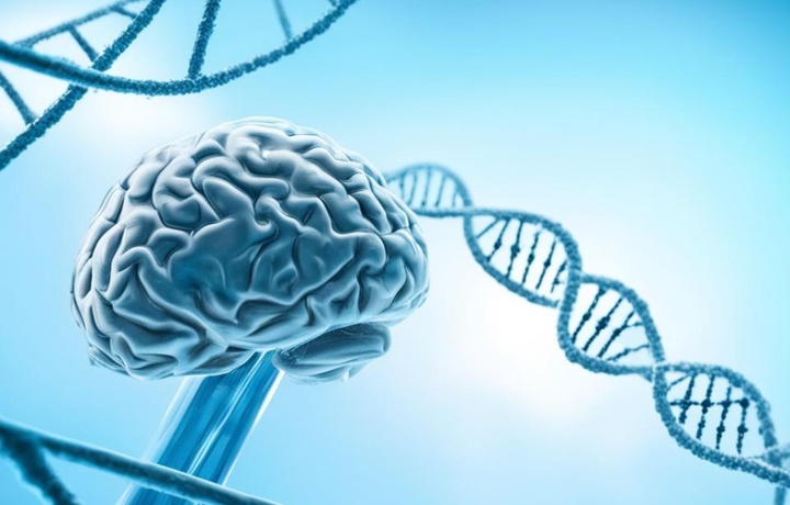 Ученые научились по генам определять болезнь Альцгеймера