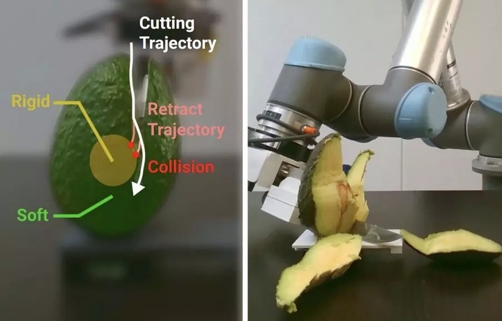 Роботов научили чистить авокадо