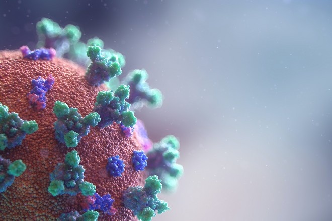 Мутация коронавируса научилась обходить антитела