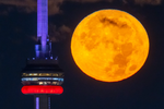 Toronto (Kanada)dagi CN tower minorasi super Oy fonida.