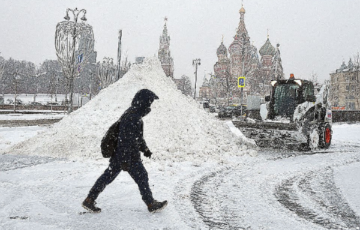 Москвада дарахтнинг қулаши натижасида бир киши ҳалок бўлди