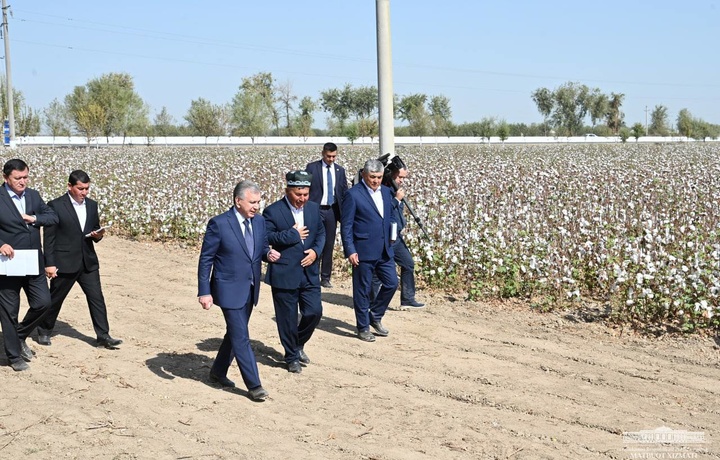 Prezident Sirdaryo dalasida (foto)