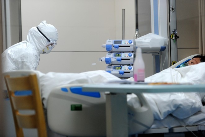 Новый случай опасного штамма птичьего гриппа подтверждён в Южной Корее