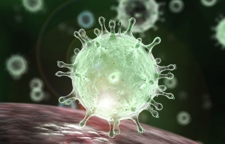 Mutaxassis: SARS-CoV-2 virusi dunyoda 2013-yildan beri mavjud bo‘lishi mumkin