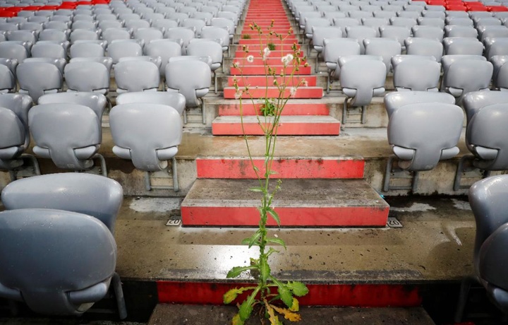 «Bavariya» stadionida chakalakzorning ilk belgilari paydo bo‘ldi