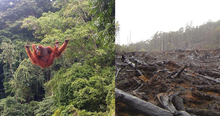 #10YearsChallenge: Сайёрамизда 10 йилда кузатилган ўзгаришлар нимадан дарак бермоқда?