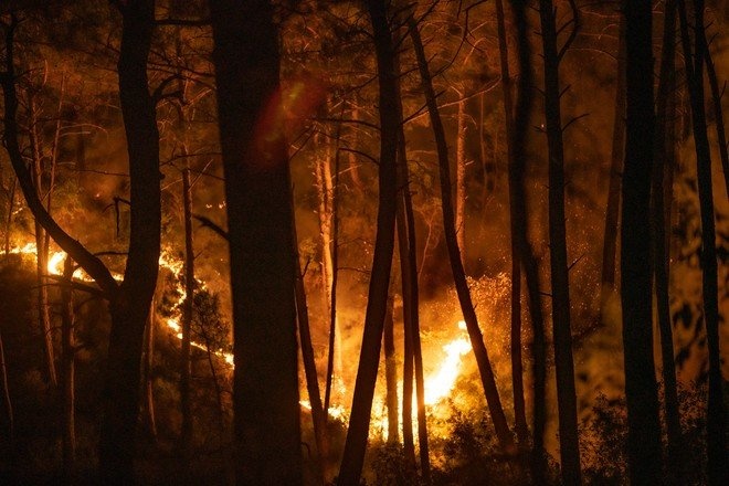 Число погибших при пожарах в Турции возросло до шести