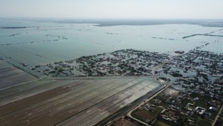 Стало известно число жертв наводнения в Сырдарье