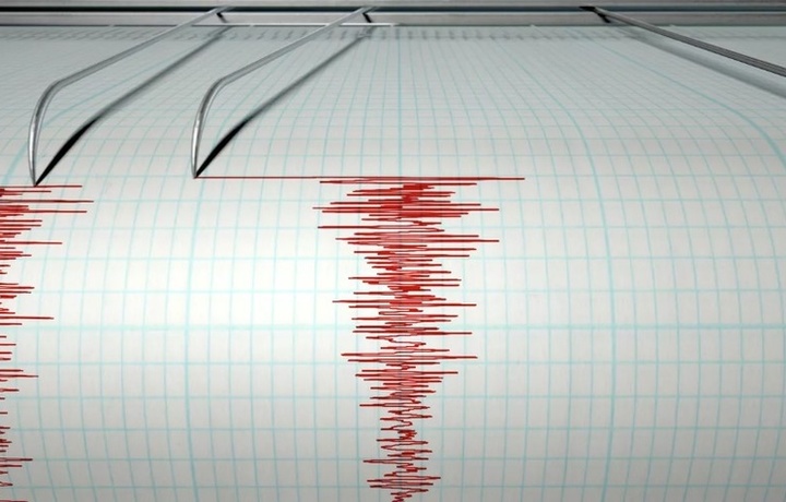 В Ташкенте и других городах вновь ощущалось сильное землетрясение