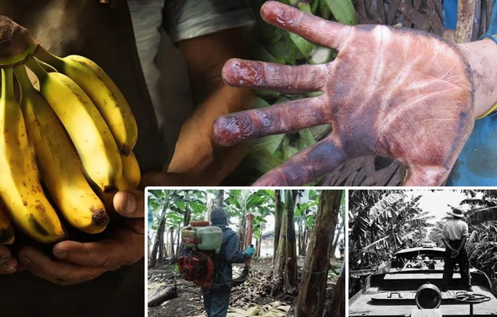 Banan shirin emas... nega? (1-maqola)