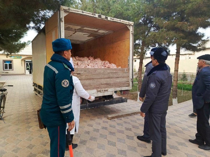 Задержан грузовик с непригодным мясом курицы, предназначенным для рынков Ташкента