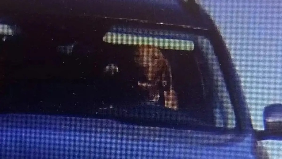 Хозяин посадил собаку за руль и получил штраф