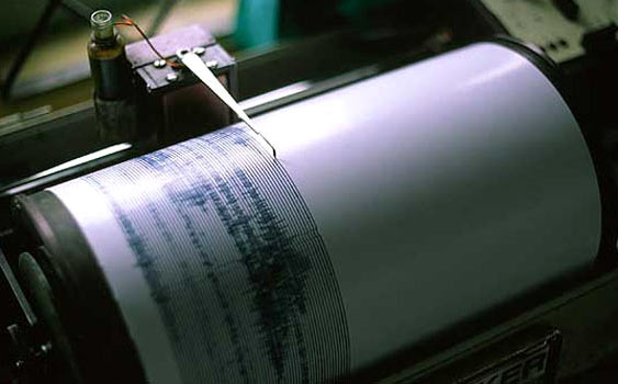 В Мексике произошло сильное землетрясение