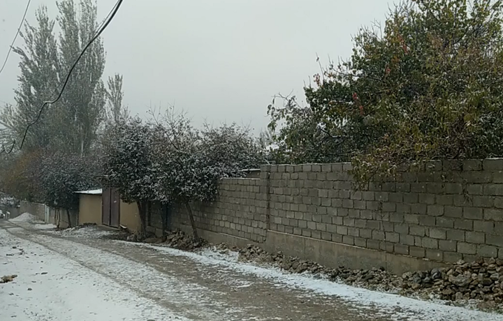 Қашқадарёнинг айрим ҳудудларида қор ёғмоқда