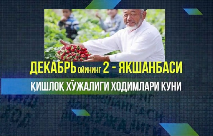 Аграр тармоқ ходимлари «Ҳосил байрами» муносабати билан рағбатлантирилади