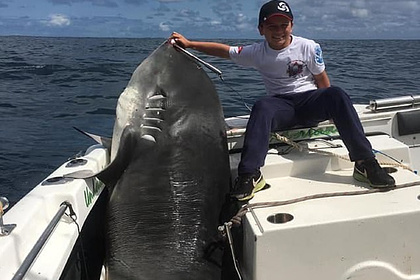 Австралияда 8 ёшли балиқчи 314 килолик даҳшатли акулани овлади