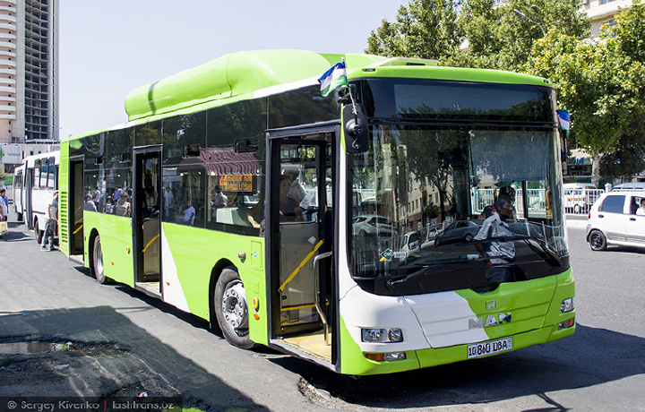 Joriy yilda Toshkent jamoat transportida yo‘l haqlari oshiriladimi?