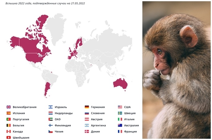 Maymun chechagi aniqlangan mamlakatlar soni bir haftada 10 taga ko‘paydi (infografika)