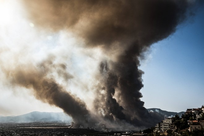 Лесные пожары в Греции дошли до Афин (видео)