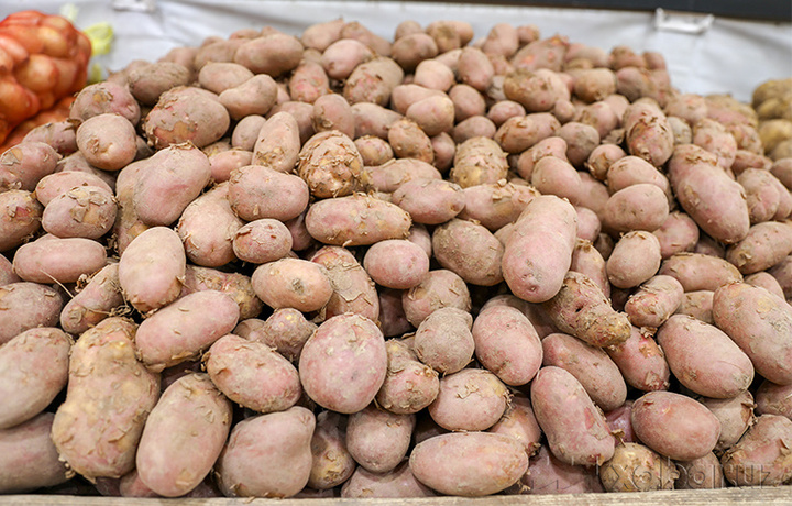 Объем выращивания картофеля в Узбекистане увеличился на 3,3%