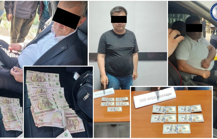 Қашқадарёда фирибгарлик қилган уч адвокат ушланди