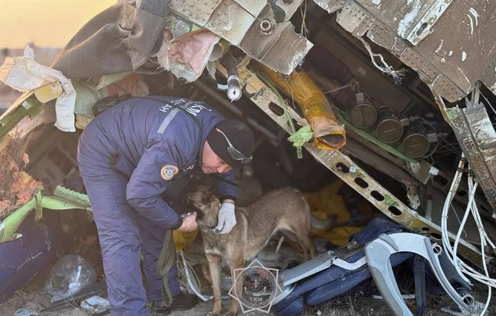 Qozog‘istondagi samolyot halokatiga Rossiya raketasi sabab bo‘lgani aytilmoqda