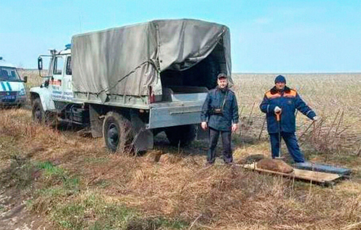 Rossiyada Ikkinchi jahon urushidan qolib ketgan ulkan bomba topildi
