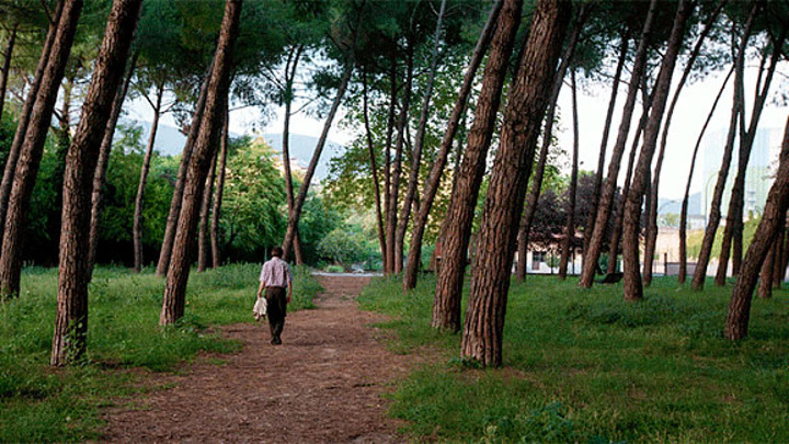 «Italiyalik Forrest Gamp» 450 kilometr va 400 yevroga tushdi