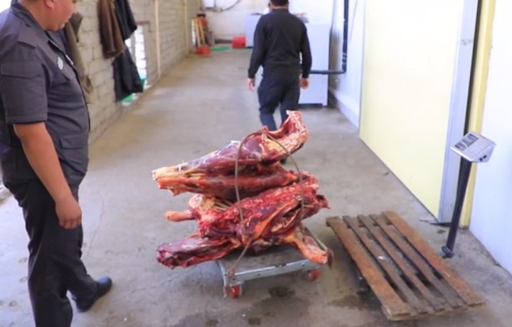В Ташкент пытались провезти более 800 кг тухлого мяса