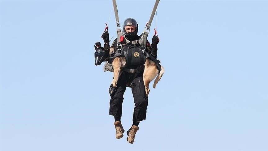Служебных собак турецкой жандармерии учат прыгать с парашютом
