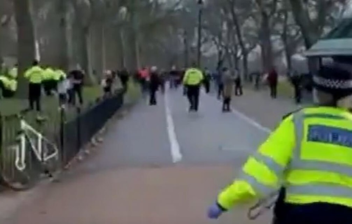 Митингующих жителей Лондона разогнала полиция (видео)