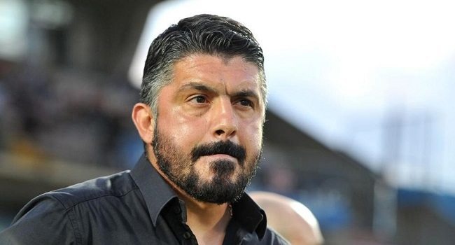 Gattuzo uchun kuzgi imtihon