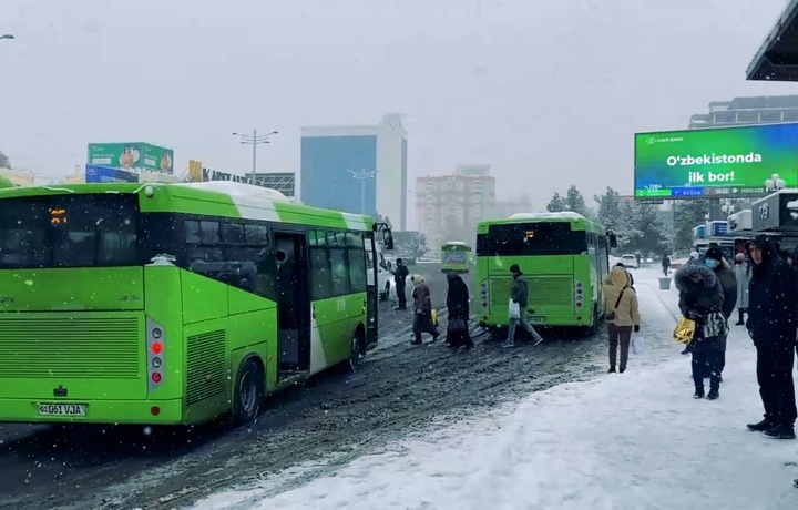 Bugungidek ob-havo sabab ishga kech qolgan xodimlarni jazolash to‘g‘rimi? – huquqshunos