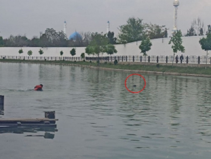 В Ташкенте мужчина утонул в канале, пытаясь спасти тонущую девушку